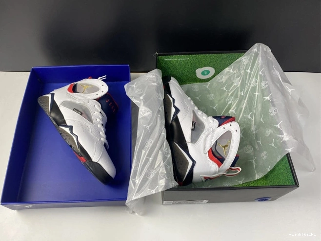 Jordan PSG Air 7 CZ0789-105 0806